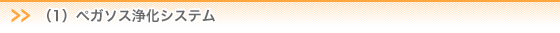 （1）PE浄化システム